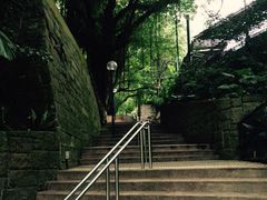 iphone_upload_pic-九龙公园