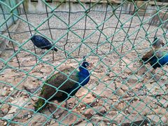 -南京金牛湖风景区