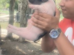 -新疆天山野生动物园