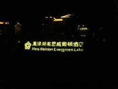 -河源万绿湖美思威尔顿酒店