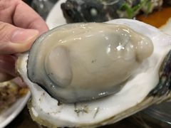 -蚝专家(北滘店)