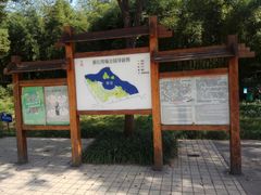 -新江湾城公园