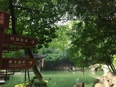 -绮园景区