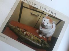 -有猫主题·治愈系猫咖(曾厝垵店)