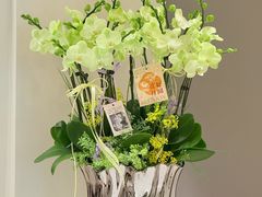 -F.Story 花和故事(新天地店)