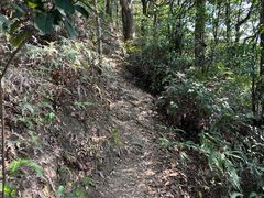 -梧桐山风景名胜区