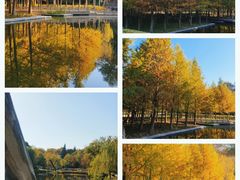 -泰州凤城河风景区-泰山公园