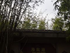 -咸宁万豪温泉谷度假区