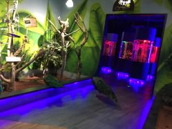 -未来动物城主题公园(正弘城店)