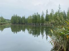 -白鹭湾湿地公园