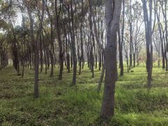 -上海老范农家乐(崇明前卫村店)