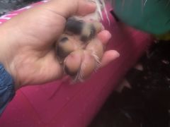 -安吉龙王山峡谷漂流