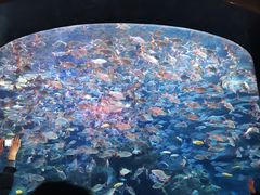 -成都浩海立方海洋公园