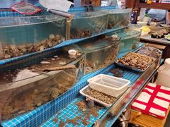 水产区-涛雒人家