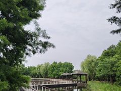 -同里国家湿地公园