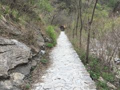 -圣莲山风景区