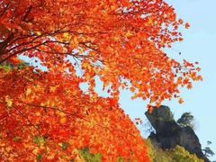 -庆岭迎宾园正宗活鱼馆