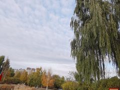 -群力丁香公园