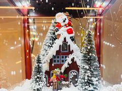 -世界之窗阿尔卑斯冰雪世界