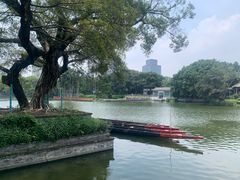 -荔湾湖公园
