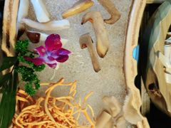 -滇釜火锅·能喝汤的火锅(车公庄店)