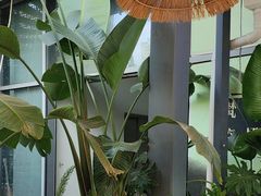 -芸南道·过桥米线(昆明老街旗舰店)