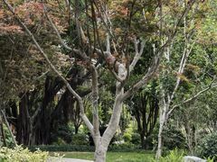 -西湖公园(鼓楼区)