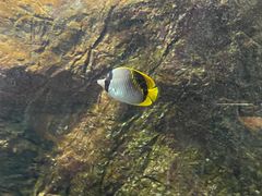 -宁波杭州湾国家湿地公园