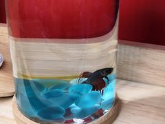 -CoCo都可(搜秀城店)