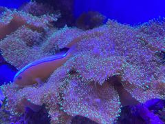 -上海海昌海洋公园