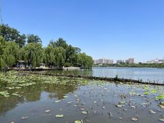 -济南大明湖景区