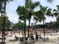 -重庆海昌加勒比海水世界