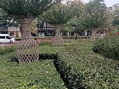 -杭州城北体育公园