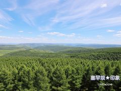 -塞罕坝国家级自然保护区