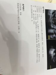 -上海艾儿贝佳妇产科医院