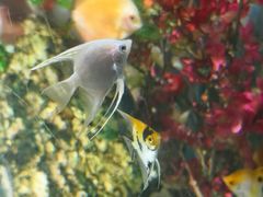 -常州海昌海洋探索馆