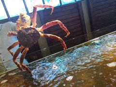 -蟹之国·精品蟹料理(极地店)