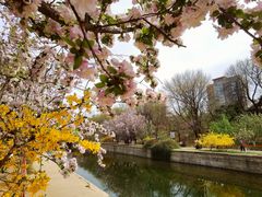 -元大都城垣遗址公园