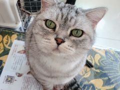 -平行世界·猫咖(首经贸店)