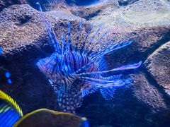 -多彩贵州城极地海洋世界