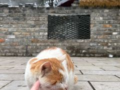 -崇阳三特浪口温泉