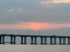 -宝安西湾红树林湿地公园