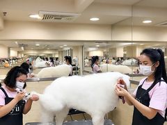 -多卡布奇宠物生活馆(上林世家店)