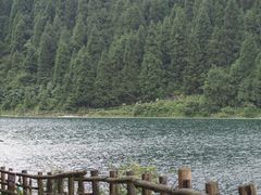 -武陵山森林公园