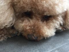 -沙青(江场二路店)