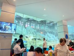 -帝企鹅自助餐厅•儿童岛•真企鹅(长隆企鹅酒店)