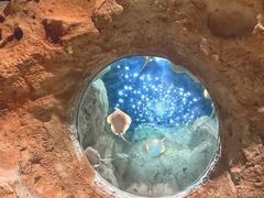 -珠海长隆海洋王国