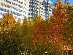 -北京化工大学(东校区)