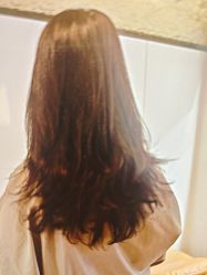 -豪斯塔美发连锁