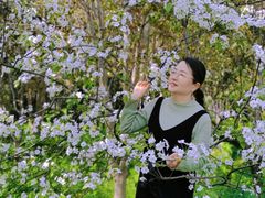 -南汇桃花村
